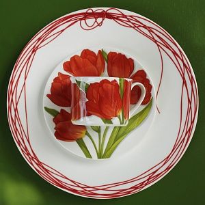Чашка с блюдцем чайная 230 мл Flower Freedom Taitu цвет красный