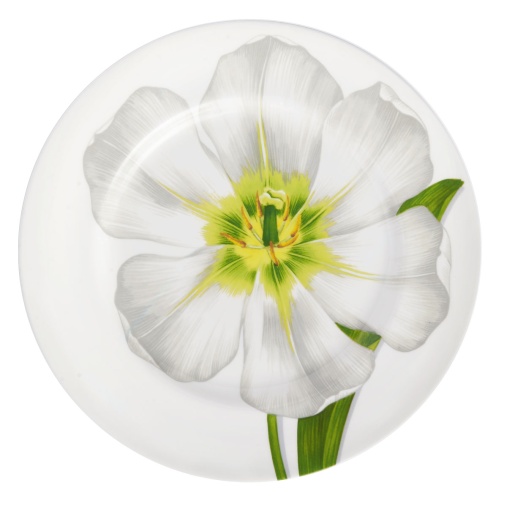 Обеденная тарелка 27 см Flower Freedom Taitu цвет белый