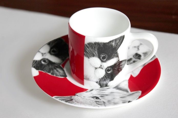 Чашка с блюдцем кофейная 100 мл Cats Best Friends Taitu