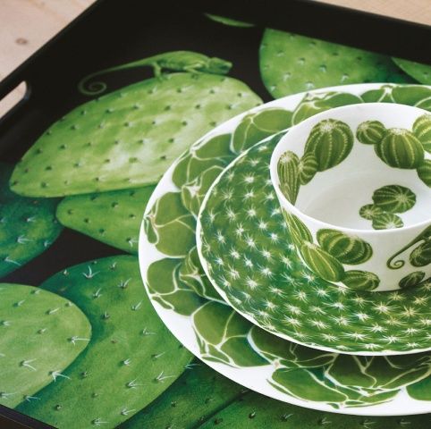 Обеденная тарелка 28 см Cactus Taitu