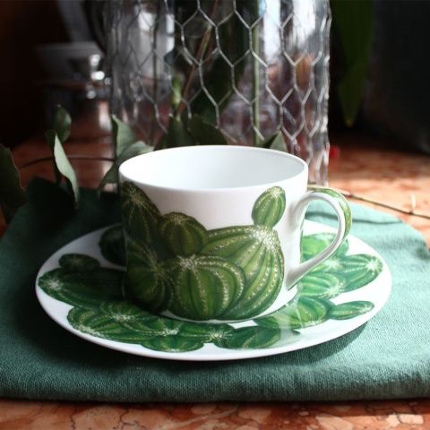 Чашка с блюдцем чайная 230 мл Cactus Taitu