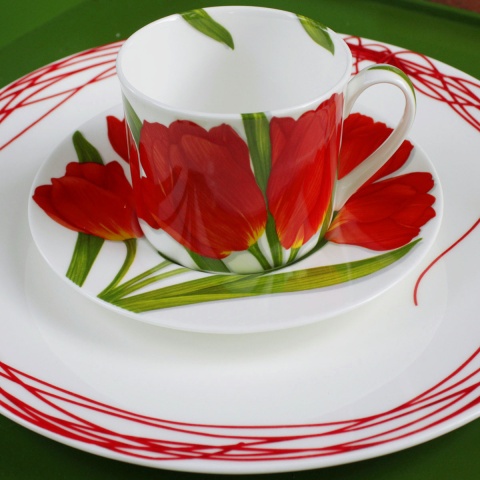 Чашка с блюдцем чайная 230 мл Flower Freedom Taitu цвет красный