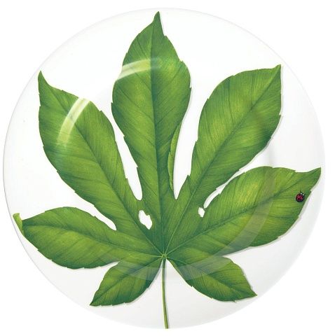 Сервировочное блюдо 31,5 см Leaf B Freedom Taitu