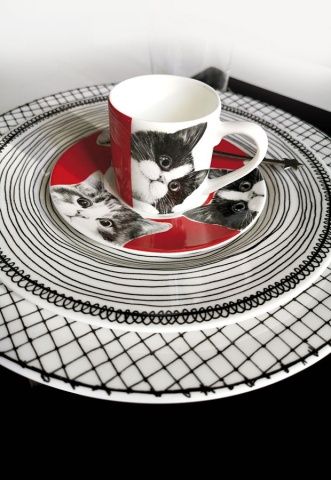 Чашка с блюдцем кофейная 100 мл Cats Best Friends Taitu