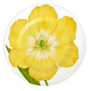 Обеденная тарелка 27 см Flower Freedom Taitu цвет желтый