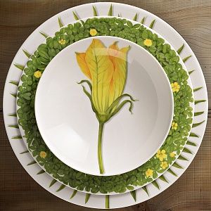Суповая тарелка 20,5 см Vegetable Freedom Taitu цвет желтый